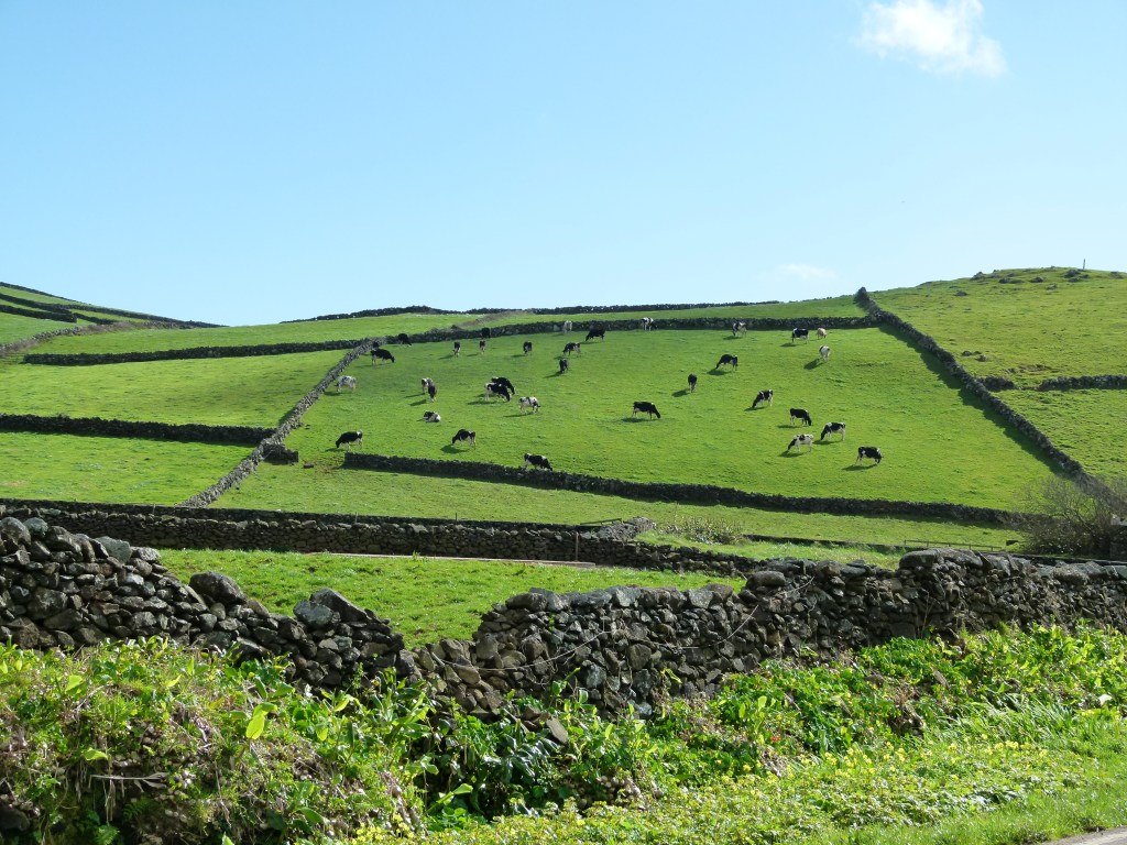 Aquilo que fica depois de uma viagem aos&nbsp;Açores