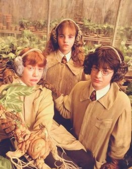 tumblr_osuexvGKz41smg72ko1_r1_500