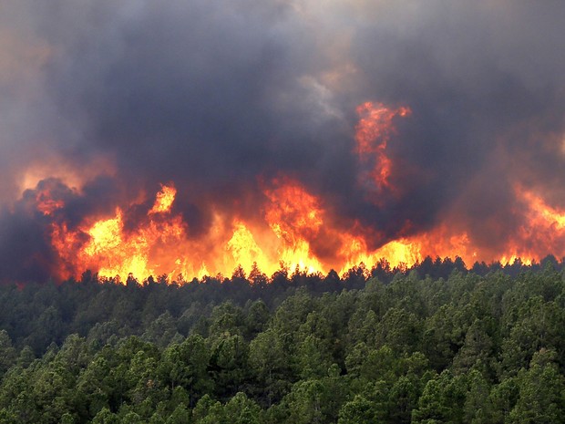 incendios-florestais.jpg