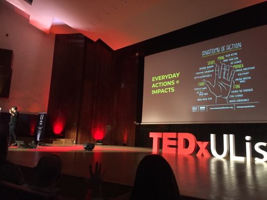 59414038_1328021077347885_4067494935966777344_n