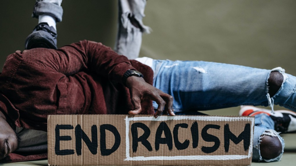 Djamila Ribeiro: Uma ativista desde a&nbsp;nascença