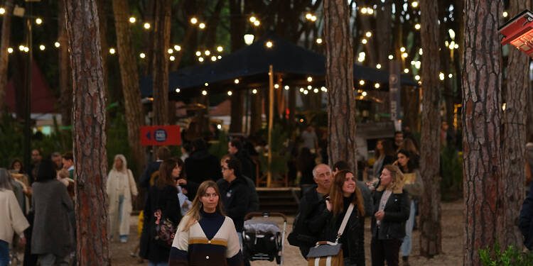 O outono chegou, em forma de mercado | Fall Market:&nbsp;Stylista