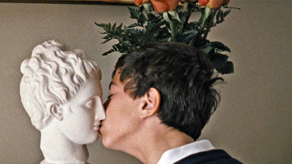 A Metamorfose dos Pássaros: o épico puzzle das pequenas&nbsp;coisas