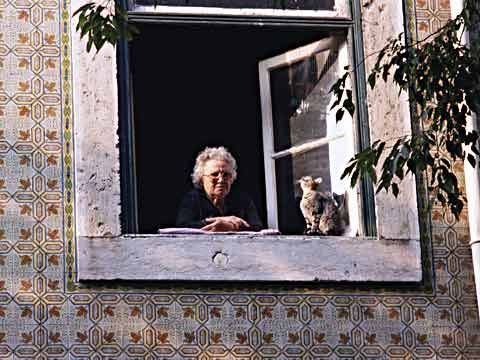 Dona Celeste sem&nbsp;memória