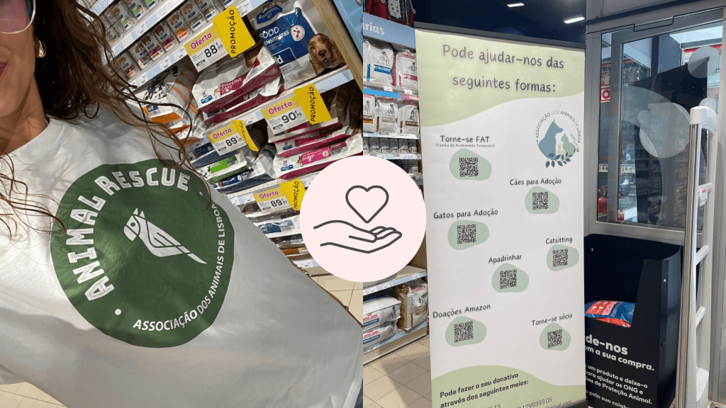 Empatia ou desconfiança? Uma manhã dedicada à causa animal