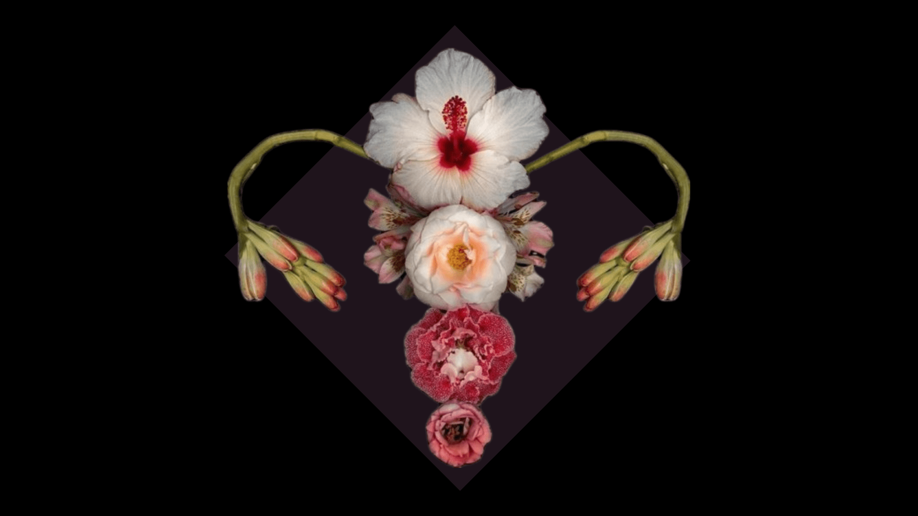 Tudo o que não te ensinaram sobre a&nbsp;menstruação