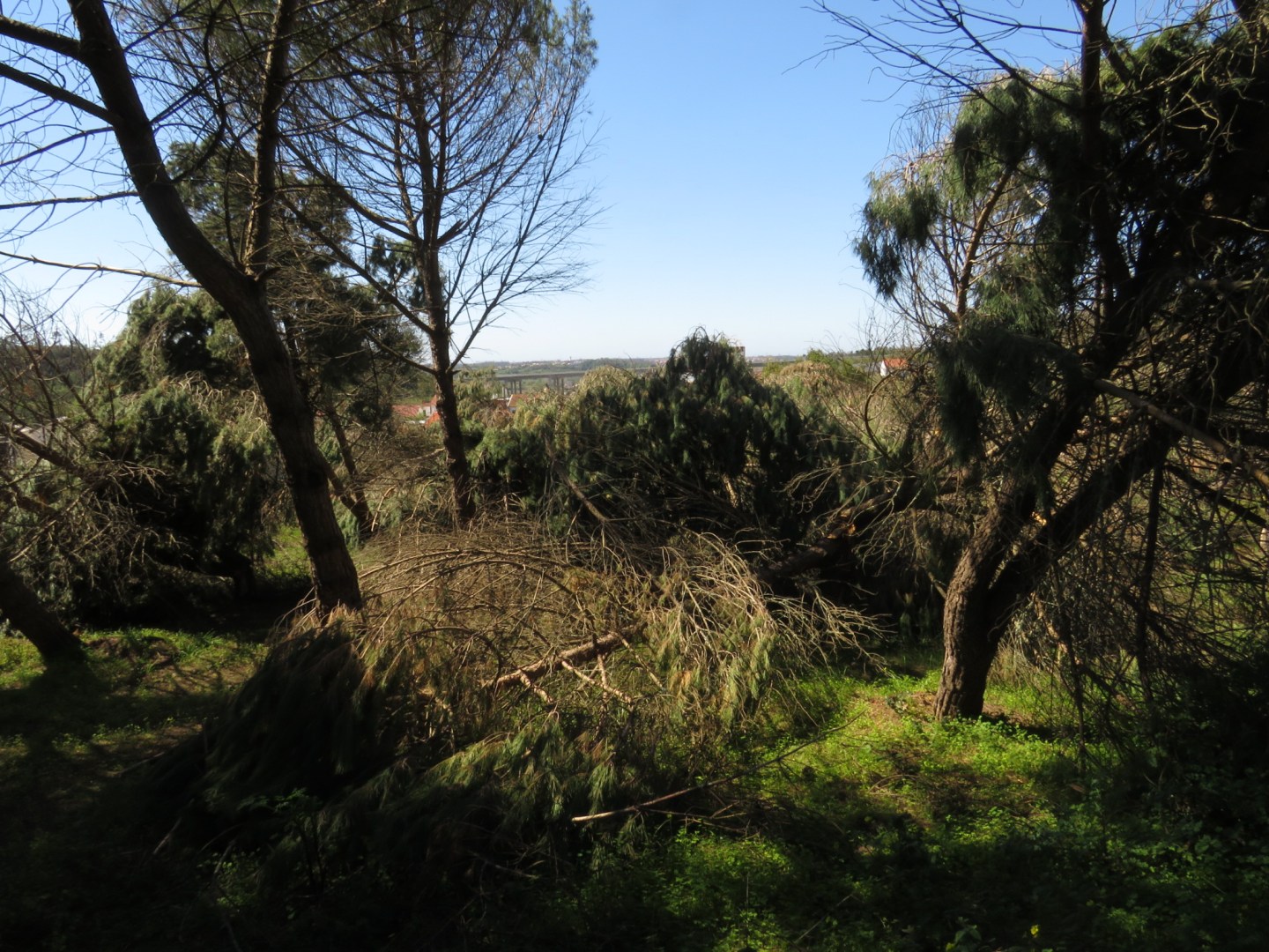 Pelos pingos da chuva: Os esquecidos da tempestade&nbsp;Kristin